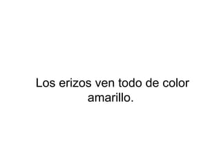 Los erizos ven todo de color
amarillo.
 