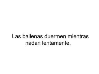 Las ballenas duermen mientras
nadan lentamente.
 