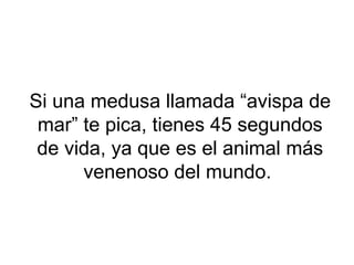 Si una medusa llamada “avispa de
mar” te pica, tienes 45 segundos
de vida, ya que es el animal más
venenoso del mundo.
 