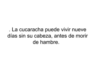 . La cucaracha puede vivir nueve
días sin su cabeza, antes de morir
de hambre.
 