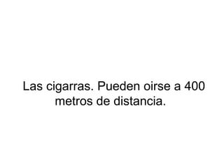 Las cigarras. Pueden oirse a 400
metros de distancia.
 