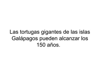 Las tortugas gigantes de las islas
Galápagos pueden alcanzar los
150 años.
 