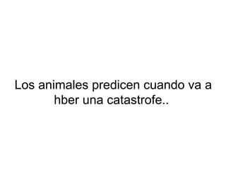 Los animales predicen cuando va a
hber una catastrofe..
 
