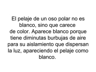 El pelaje de un oso polar no es
blanco, sino que carece
de color. Aparece blanco porque
tiene diminutas burbujas de aire
para su aislamiento que dispersan
la luz, apareciendo el pelaje como
blanco.
 