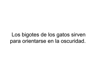 Los bigotes de los gatos sirven
para orientarse en la oscuridad.
 