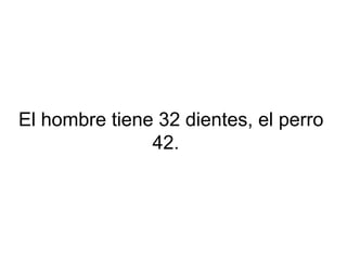 El hombre tiene 32 dientes, el perro
42.
 