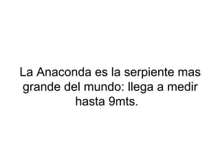 La Anaconda es la serpiente mas
grande del mundo: llega a medir
hasta 9mts.
 