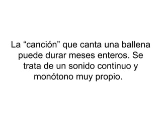 La “canción” que canta una ballena
puede durar meses enteros. Se
trata de un sonido continuo y
monótono muy propio.
 