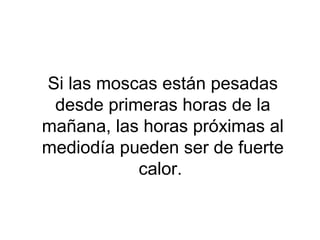 Si las moscas están pesadas
desde primeras horas de la
mañana, las horas próximas al
mediodía pueden ser de fuerte
calor.
 