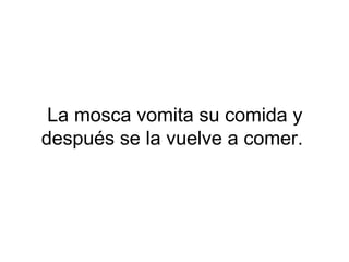 La mosca vomita su comida y
después se la vuelve a comer.
 