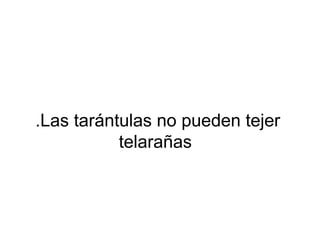 .Las tarántulas no pueden tejer
telarañas
 