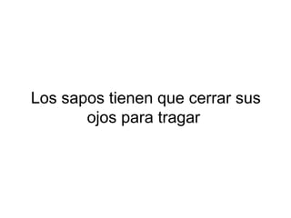 Los sapos tienen que cerrar sus
ojos para tragar
 