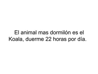 El animal mas dormilón es el
Koala, duerme 22 horas por día.
 