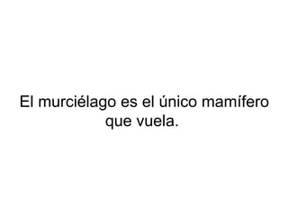El murciélago es el único mamífero
que vuela.
 