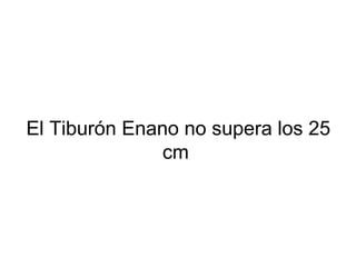 El Tiburón Enano no supera los 25
cm
 
