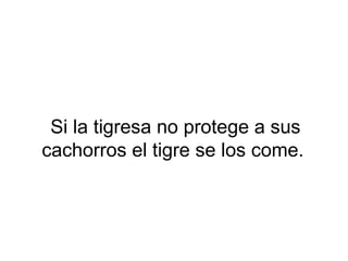 Si la tigresa no protege a sus
cachorros el tigre se los come.
 