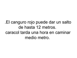 .El canguro rojo puede dar un salto
de hasta 12 metros.
caracol tarda una hora en caminar
medio metro.
 