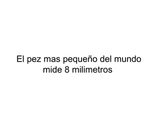 El pez mas pequeño del mundo
mide 8 milimetros
 