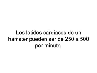 Los latidos cardiacos de un
hamster pueden ser de 250 a 500
por minuto
 