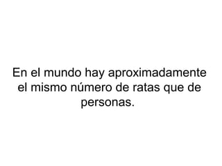 En el mundo hay aproximadamente
el mismo número de ratas que de
personas.
 