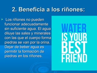2. Beneficia a los riñones:2. Beneficia a los riñones:
 Los riñones no puedenLos riñones no pueden
funcionar adecuadamentefuncionar adecuadamente
sin suficiente agua. El aguasin suficiente agua. El agua
diluye las sales y mineralesdiluye las sales y minerales
con las que el cuerpo formacon las que el cuerpo forma
piedras se van por la orina.piedras se van por la orina.
Dejar de beber agua esDejar de beber agua es
permitir la formación depermitir la formación de
piedras en los riñones.piedras en los riñones.
 