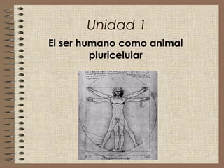Unidad 1
El ser humano como animal
pluricelular
 