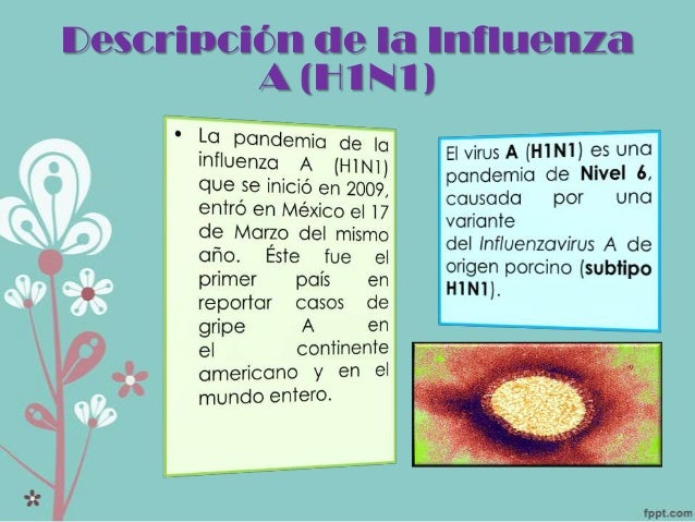 ESQUEMA DE LEAVELL Y CLARK INFLUENZA