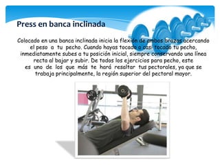 Colocado en una banca inclinada inicia la flexión de ambos brazos acercando
el peso a tu pecho. Cuando hayas tocado o casi tocado tu pecho,
inmediatamente subes a tu posición inicial, siempre conservando una línea
recta al bajar y subir. De todos los ejercicios para pecho, este
es uno de los que más te hará resaltar tus pectorales, ya que se
trabaja principalmente, la región superior del pectoral mayor.
Press en banca inclinada
 