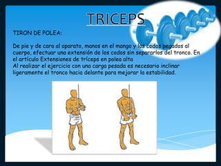 De pie y de cara al aparato, manos en el mango y los codos pegados al
cuerpo, efectuar una extensión de los codos sin separarlos del tronco. En
el artículo Extensiones de tríceps en polea alta
Al realizar el ejercicio con una carga pesada es necesario inclinar
ligeramente el tronco hacia delante para mejorar la estabilidad.
TIRON DE POLEA:
 
