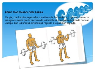 De pie, con los pies separados a la altura de los hombros, coge una barra con
un agarre mayor que la anchura de los hombros y las palmas mirando hacia el
cuerpo. Con los brazos extendidos regresa a la posición erguida.
REMO INCLINADO CON BARRA
 