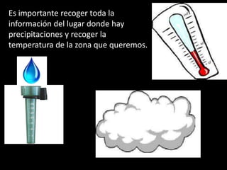 Es importante recoger toda la
información del lugar donde hay
precipitaciones y recoger la
temperatura de la zona que queremos.
 