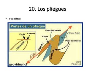 20. Los pliegues
• Sus partes:
 