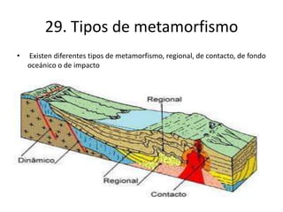 29. Tipos de metamorfismo
• Existen diferentes tipos de metamorfismo, regional, de contacto, de fondo
oceánico o de impacto
 