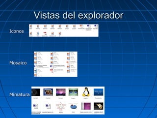 Vistas del exploradorVistas del explorador
IconosIconos
MosaicoMosaico
MiniaturaMiniatura
 