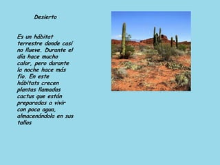 Desierto
Es un hábitat
terrestre donde casi
no llueve. Durante el
día hace mucho
calor, pero durante
la noche hace más
fio. En este
hábitats crecen
plantas llamadas
cactus que están
preparadas a vivir
con poca agua,
almacenándola en sus
tallos
 