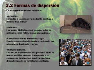 La dispersión se realiza mediante:
•Aerosoles.
Lanzados a la atmósfera mediante bombas o
misiles. Uso militar.
•Animales.
Las armas biológicas son transportadas en
animales como ratas, piojos, mosquitos…
•Contaminación de alimentos y agua.
Puede evitarse desinfectando o cocinando los
alimentos e hirviendo el agua.
•Humano-humano.
Una vez se ha infectado una persona, si no se
toman medidas como el tratamiento o la
cuarentena la infección puede propagarse
dependiendo de su facilidad de contagio.
 