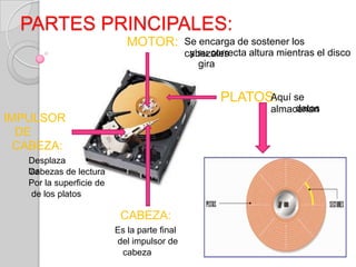 PARTES PRINCIPALES:
MOTOR:
CABEZA:
PLATOS:
IMPULSOR
DE
CABEZA:
Aquí se
almacenandatos
Desplaza
lasCabezas de lectura
Por la superficie de
de los platos
Es la parte final
del impulsor de
cabeza
Se encarga de sostener los
cabezalesy su correcta altura mientras el disco
gira
 