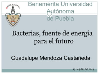 Benemérita Universidad
Autónoma
de Puebla
Bacterias, fuente de energía
para el futuro
Guadalupe Mendoza Castañeda
13 de julio del 2013
 