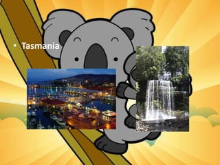 • Tasmania
 