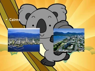 • Cairns
 