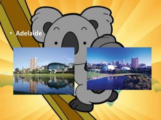 • Adelaide
 