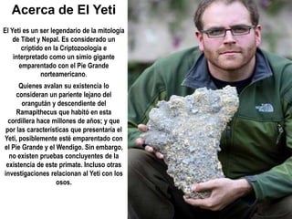 Acerca de El Yeti
El Yeti es un ser legendario de la mitología
de Tibet y Nepal. Es considerado un
críptido en la Criptozoología e
interpretado como un simio gigante
emparentado con el Pie Grande
norteamericano.
Quienes avalan su existencia lo
consideran un pariente lejano del
orangután y descendiente del
Ramapithecus que habitó en esta
cordillera hace millones de años; y que
por las características que presentaría el
Yeti, posiblemente esté emparentado con
el Pie Grande y el Wendigo. Sin embargo,
no existen pruebas concluyentes de la
existencia de este primate. Incluso otras
investigaciones relacionan al Yeti con los
osos.
 
