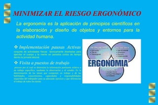 MINIMIZAR EL RIESGO ERGONÓMICO
 Implementación pausas Activas
conjunto de actividades físicas técnicamente diseñadas para
ejercitar el cuerpo y la mente en periodos cortos de tiempo
dentro la jornada laboral.
 Visita a puestos de trabajo
proceso por el cual se determina la información pertinente relativa a
un trabajo especifico, mediante la observación y el estudio. Es la
determinación de las tareas que componen un trabajo y de las
habilidades, conocimientos, capacidades y responsabilidades
requeridas del trabajador para su adecuado ejercicio y que diferencian
el trabajo de todos los demás
La ergonomía es la aplicación de principios científicos en
la elaboración y diseño de objetos y entornos para la
actividad humana.
 