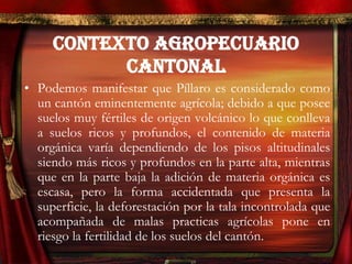 CONTEXTO AGROPECUARIO
CANTONAL
• Podemos manifestar que Píllaro es considerado como
un cantón eminentemente agrícola; debido a que posee
suelos muy fértiles de origen volcánico lo que conlleva
a suelos ricos y profundos, el contenido de materia
orgánica varía dependiendo de los pisos altitudinales
siendo más ricos y profundos en la parte alta, mientras
que en la parte baja la adición de materia orgánica es
escasa, pero la forma accidentada que presenta la
superficie, la deforestación por la tala incontrolada que
acompañada de malas practicas agrícolas pone en
riesgo la fertilidad de los suelos del cantón.
 