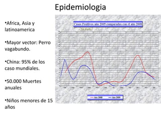 Epidemiologia
•Africa, Asia y
latinoamerica
•Mayor vector: Perro
vagabundo.
•China: 95% de los
caso mundiales.
•50.000 Muertes
anuales
•Niños menores de 15
años
 