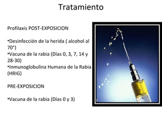 Tratamiento
Profilaxis POST-EXPOSICION
•Desinfección de la herida ( alcohol al
70°)
•Vacuna de la rabia (Días 0, 3, 7, 14 y
28-30)
•Inmunoglobulina Humana de la Rabia
(HRIG)
PRE-EXPOSICION
•Vacuna de la rabia (Días 0 y 3)
 