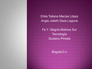 Erika Tatiana Macías López
Angie Julieth Daza Laguna
Fe Y Alegría Molinos Sur
Tecnología
Gustavo Pineda
Bogotá D.c
 