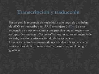 Transcripción y traducción
En un gen, la secuencia de nucleótidos a lo largo de una hebra
de ADN se transcribe a un ARN mensajero (ARNm) y esta
secuencia a su vez se traduce a una proteína que un organismo
es capaz de sintetizar o "expresar" en uno o varios momentos de
su vida, usando la información de dicha secuencia.
La relación entre la secuencia de nucleótidos y la secuencia de
aminoácidos de la proteína viene determinada por el código
genético
 
