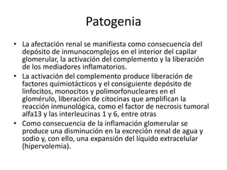 Patogenia
• La afectación renal se manifiesta como consecuencia del
depósito de inmunocomplejos en el interior del capilar
glomerular, la activación del complemento y la liberación
de los mediadores inflamatorios.
• La activación del complemento produce liberación de
factores quimiotácticos y el consiguiente depósito de
linfocitos, monocitos y polimorfonucleares en el
glomérulo, liberación de citocinas que amplifican la
reacción inmunológica, como el factor de necrosis tumoral
alfa13 y las interleucinas 1 y 6, entre otras
• Como consecuencia de la inflamación glomerular se
produce una disminución en la excreción renal de agua y
sodio y, con ello, una expansión del líquido extracelular
(hipervolemia).
 
