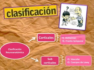 Clasificación
Neuroanatómica
Corticales
Sub
corticales
•E. Alzheimer
•D. Fronto temporal
•D. Vascular
•D. Cuerpos de Lewy
 